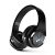 URBN Thump 300 Wireless Bluetooth Headphone with in-Built Mic, Upto 16 Hours Playback, HD Sound, Deep Bass, FM Radio, Intergrated Controls (Black)
